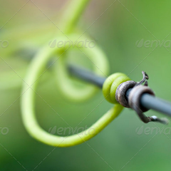 网页攻击器教程